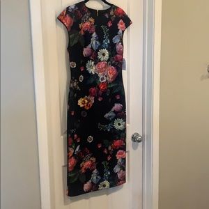 NWT Ted Baker dress